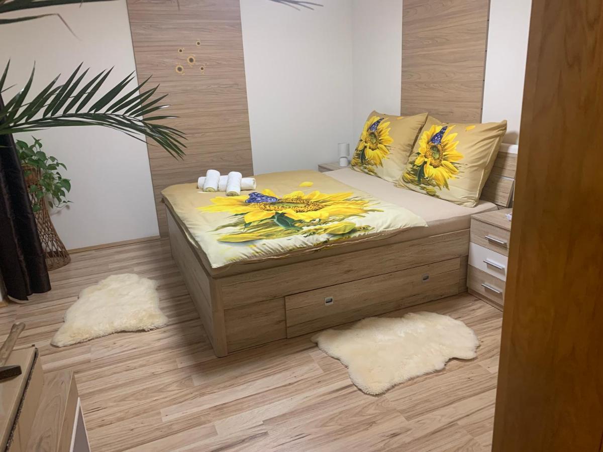 Apartman Slunecnice S Terasou Ceske Budejovice Exterior photo