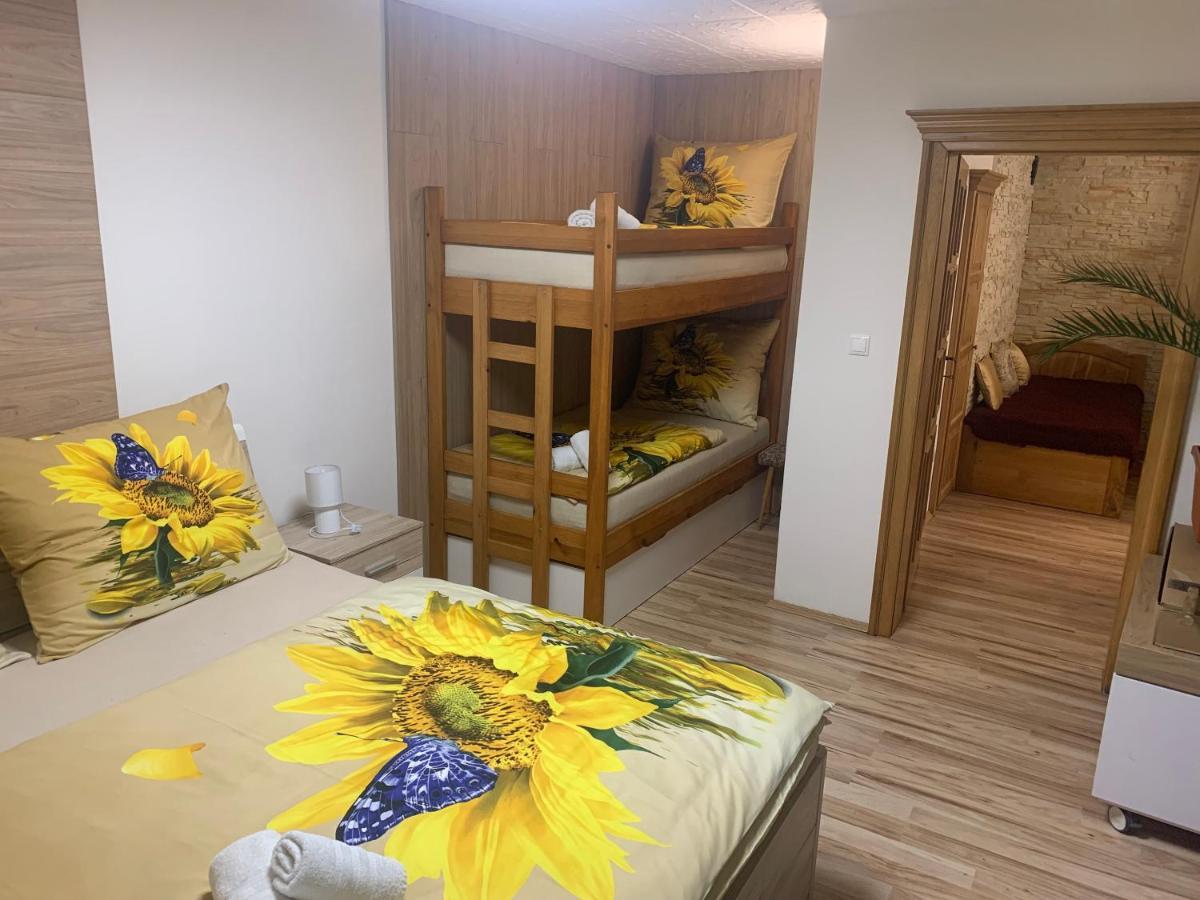 Apartman Slunecnice S Terasou Ceske Budejovice Exterior photo