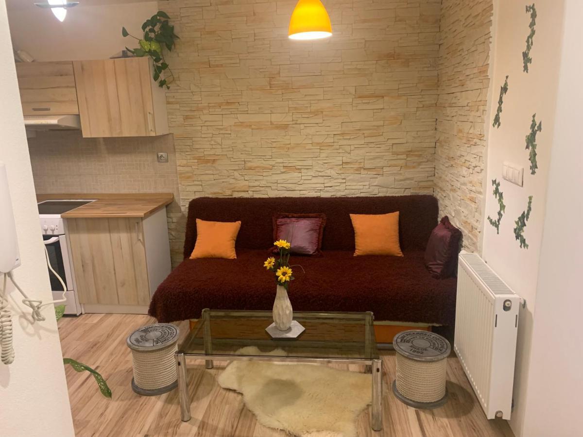 Apartman Slunecnice S Terasou Ceske Budejovice Exterior photo