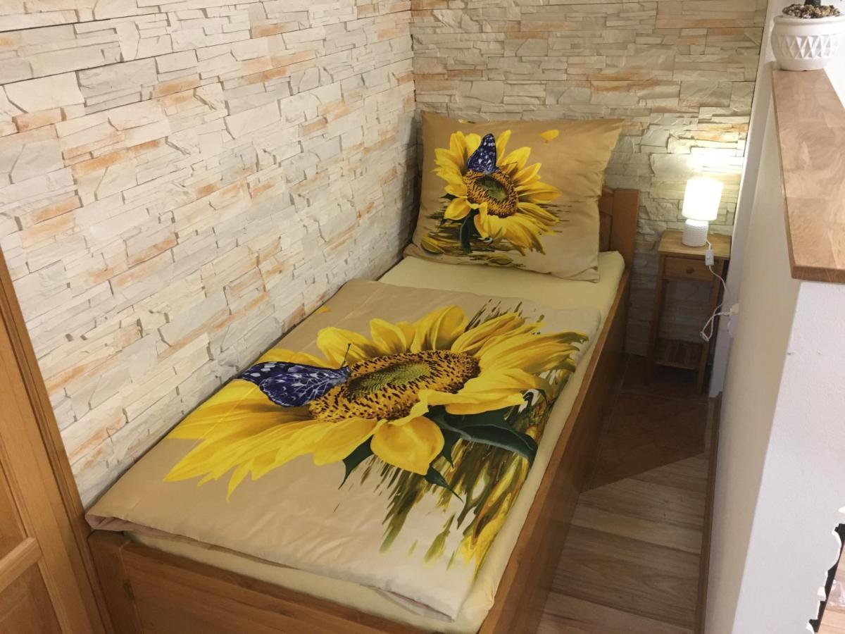 Apartman Slunecnice S Terasou Ceske Budejovice Exterior photo
