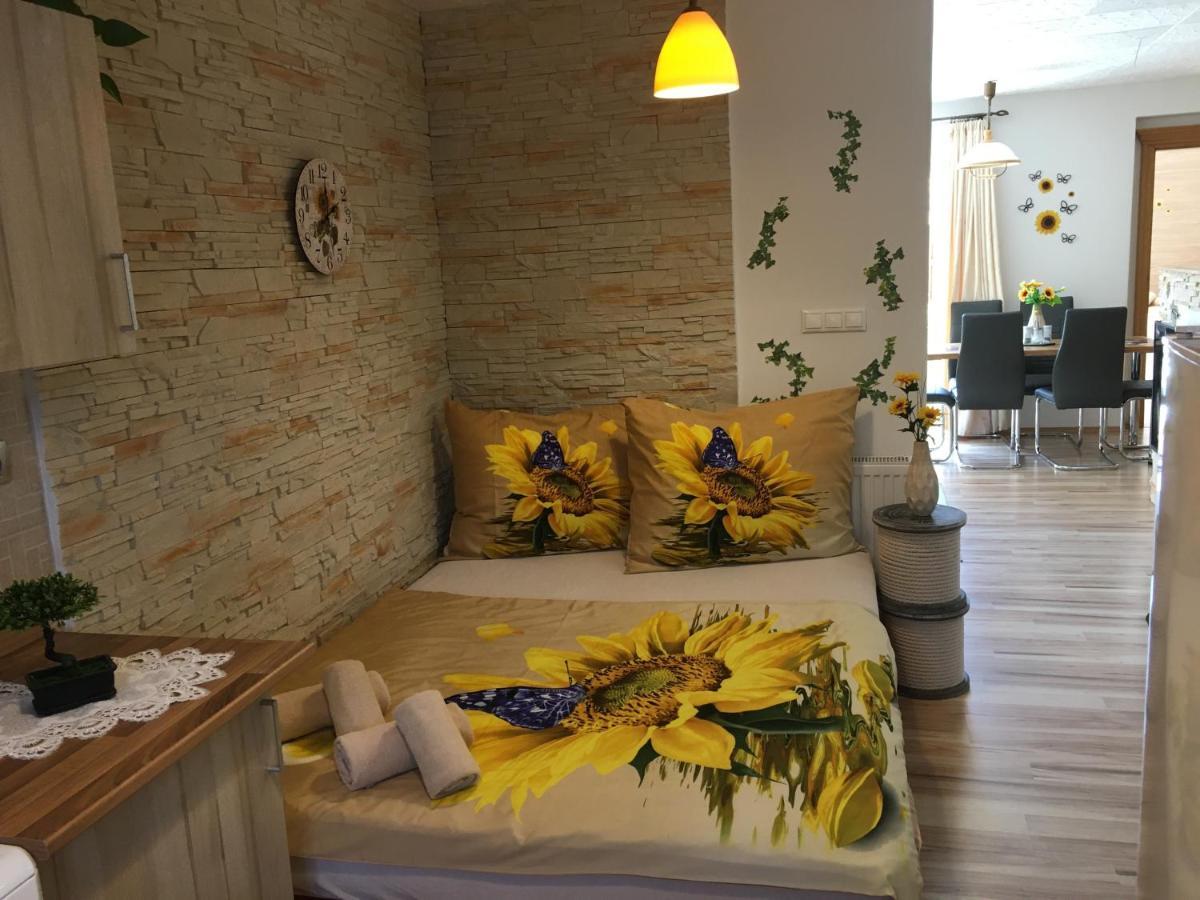Apartman Slunecnice S Terasou Ceske Budejovice Exterior photo