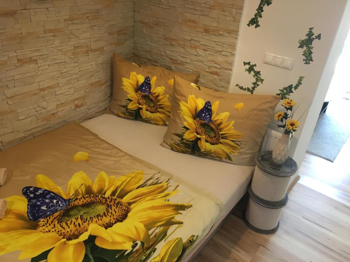Apartman Slunecnice S Terasou Ceske Budejovice Exterior photo